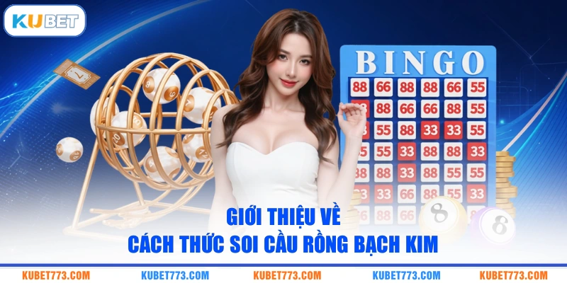 Giới thiệu về cách thức soi cầu Rồng Bạch Kim